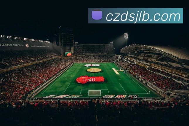 奖项图2